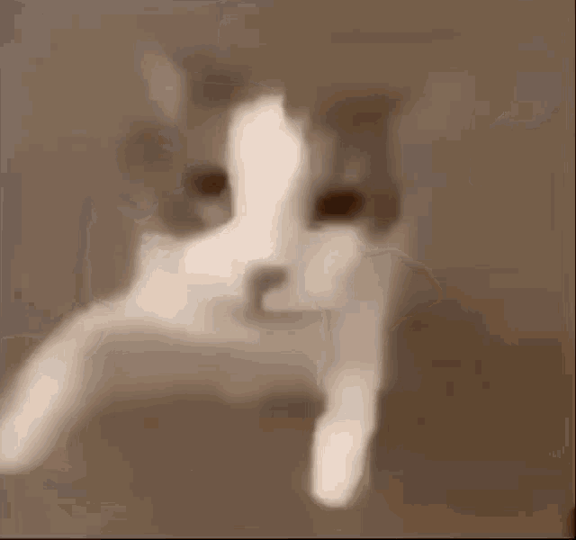GIF A